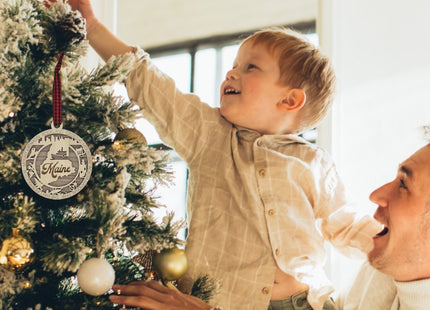 Maine State Highlights Ornament