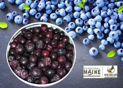 Organic Wild Maine Blueberries 3oz (18-Pack)