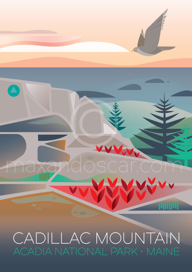 Cadillac Mountain Acadia Postcard