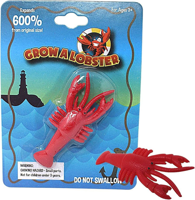 Grow a Lobster Water Toy | Seasonal Maine