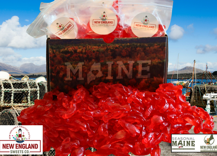 Coastal Snack Gift Box [Premium]