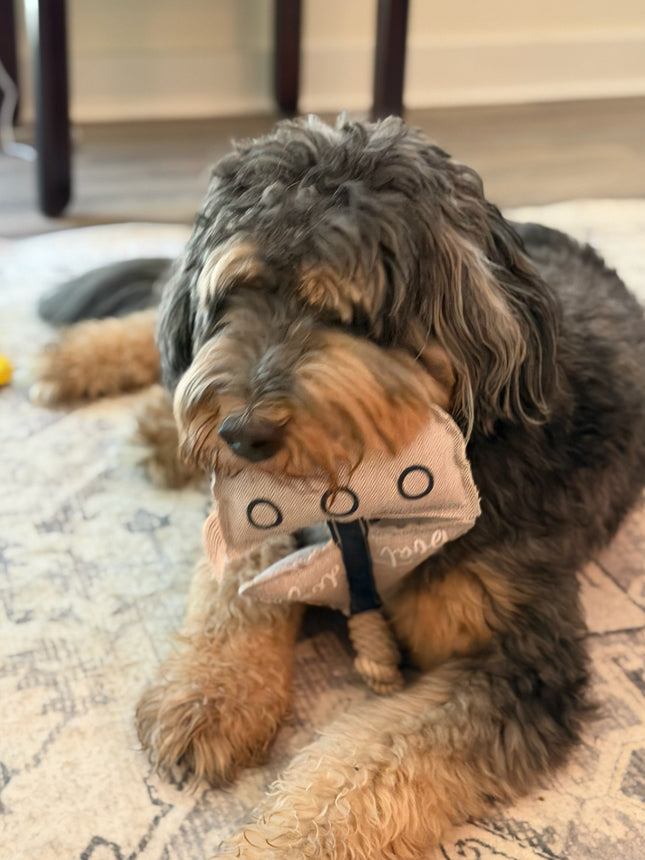 Boat Dog - 15" Dog Toy on Rope