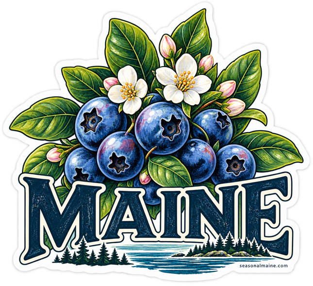 Maine Blueberries and Blossoms sticker artwork. A cluster of blue berries, green leaves and white blossoms rises above bold MAINE lettering and a small evergreen-island lake scene.