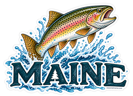 Maine Leaping Rainbow Trout sticker artwork. A colorful spotted trout with a pink side stripe leaps through a blue splash above large navy Maine lettering with a pine-tree cutout in the A.
