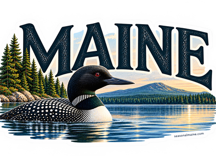 Maine Loon Lake sticker artwork. A black-and-white loon floats on a calm blue lake beneath oversized MAINE lettering, backed by evergreen trees, a mountain and warm sky.