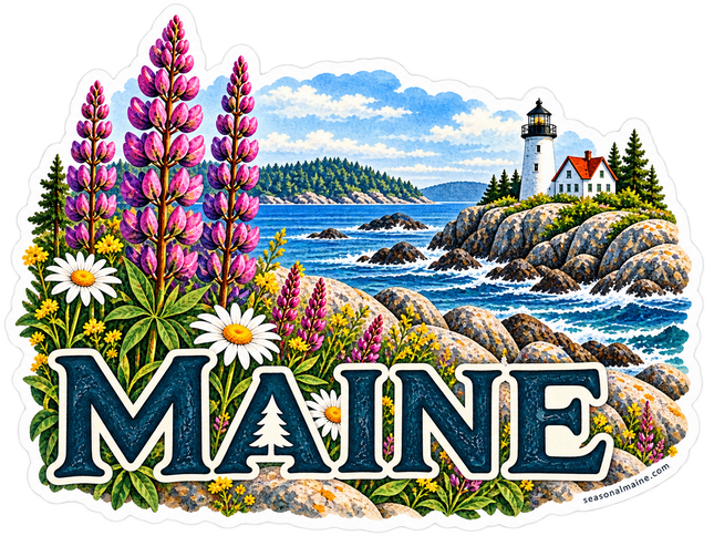 Maine Lupines and Lighthouse sticker artwork. Tall pink-purple lupines, white daisies and yellow wildflowers frame a rocky blue coastline and a white lighthouse above large navy Maine lettering.