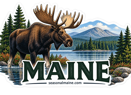 Maine Moose & Mountain Lake sticker artwork. A large antlered moose stands in shallow water before a pine-covered island and mountain backdrop, with evergreen trees and bold dark green MAINE lettering across the foreground.