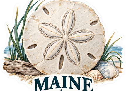 Maine Sand Dollar and Seashells sticker artwork. A large cream sand dollar is surrounded by beach grass, driftwood and seashells above MAINE lettering and a small pine-tree symbol.
