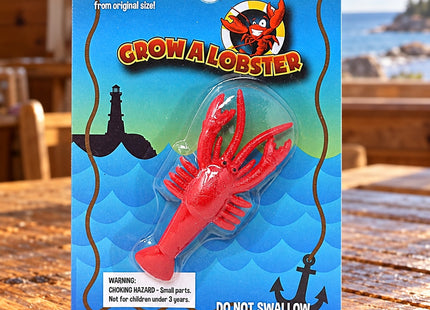 Grow a Lobster Water Toy | Seasonal Maine in a styled wooden activity table setting, with Seasonal Maine logo.